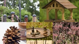 19+ Genius Bird Feeder Station Ideas That Transform Your Yard