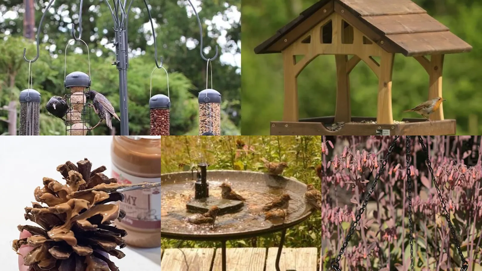 19+ Genius Bird Feeder Station Ideas That Transform Your Yard