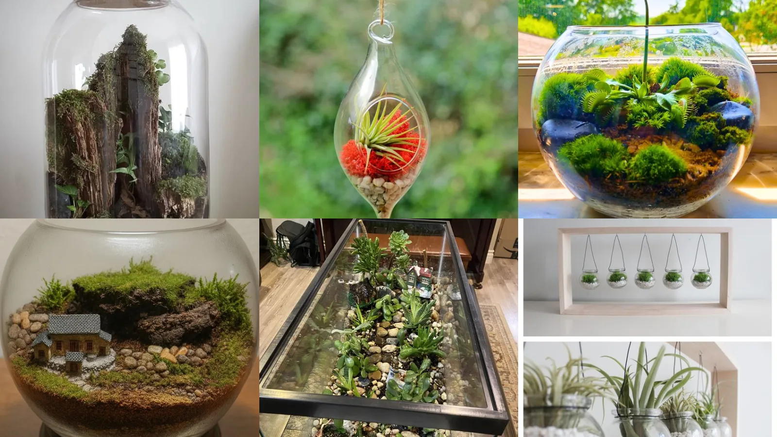 19+ Stunning Closed Terrarium Ideas That Transform Any Room