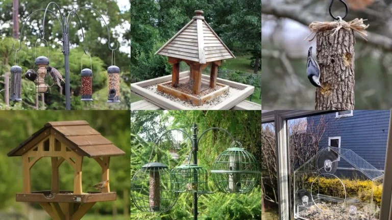 19+ Genius Bird Feeder Station Ideas That Transform Your Yard