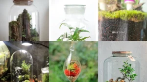 19+ Stunning Closed Terrarium Ideas That Transform Any Room